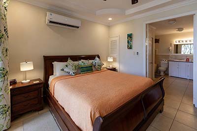 Chaconia Suite: Master Bedroom